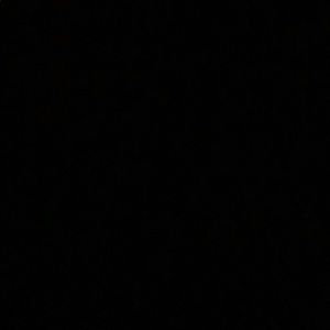 Meet your Posher, Preston